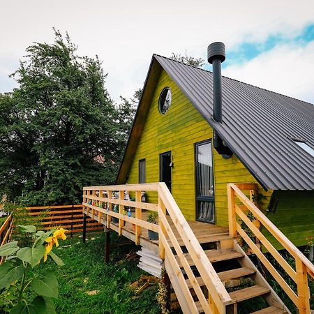 Wooden Cottage "Green House" In Bakuriani Kültér fotó