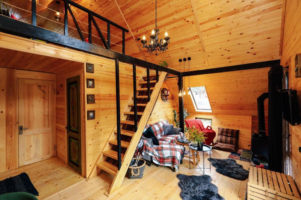 Wooden Cottage "Green House" In Bakuriani Kültér fotó