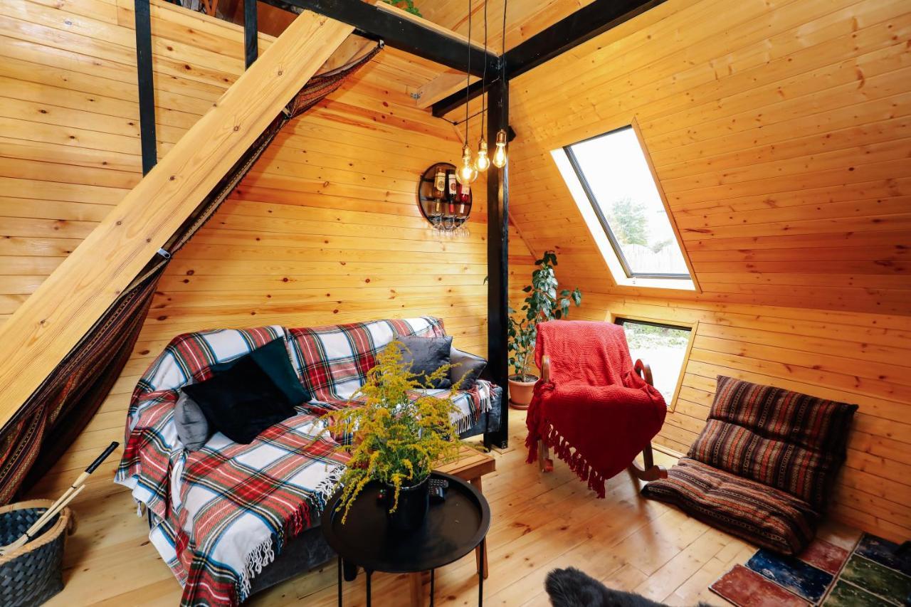 Wooden Cottage "Green House" In Bakuriani Kültér fotó
