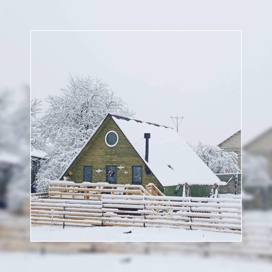 Wooden Cottage "Green House" In Bakuriani Kültér fotó